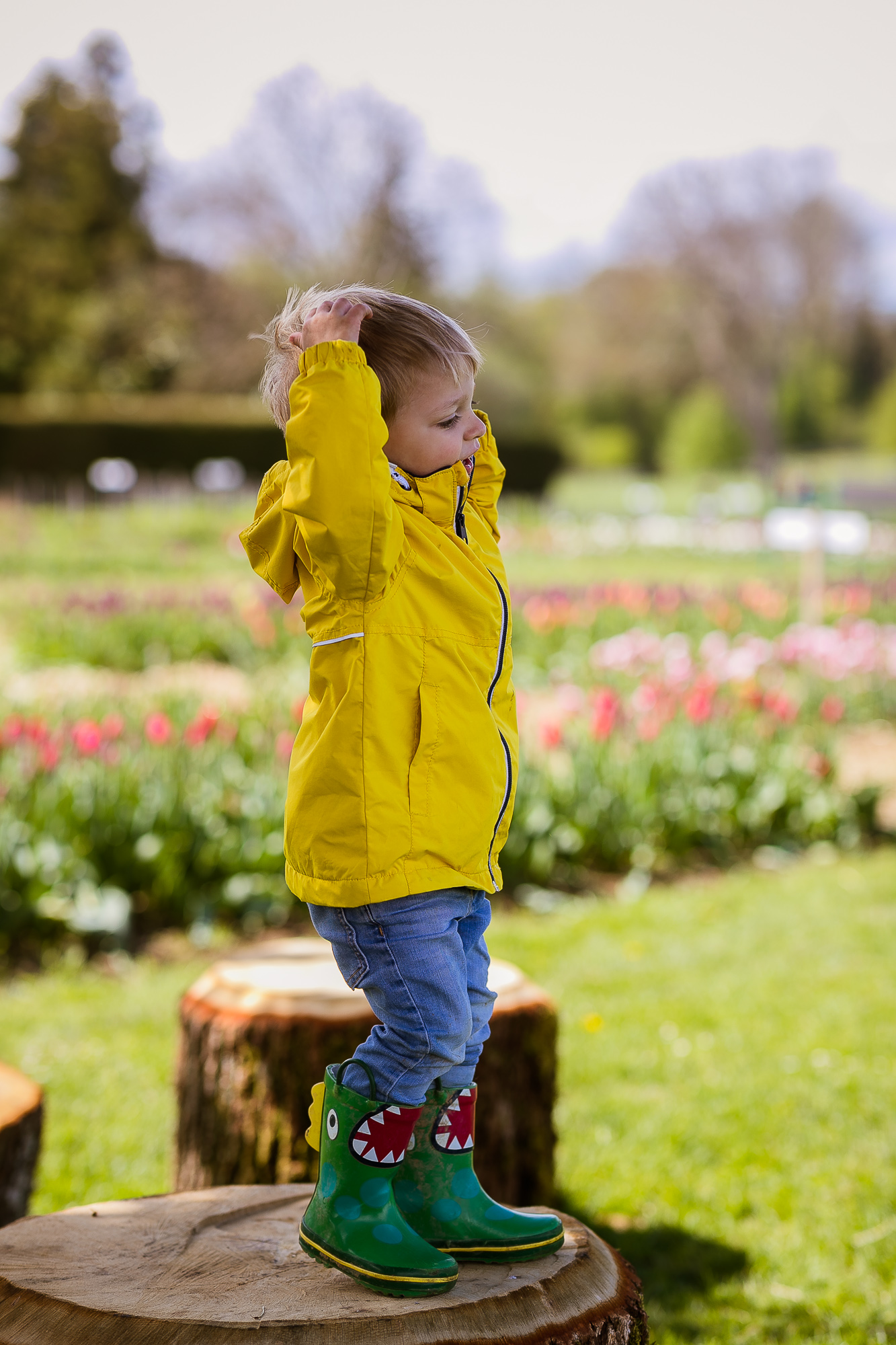 Export x3 1DX28237 Familienfotoshooting 2019 Hefti